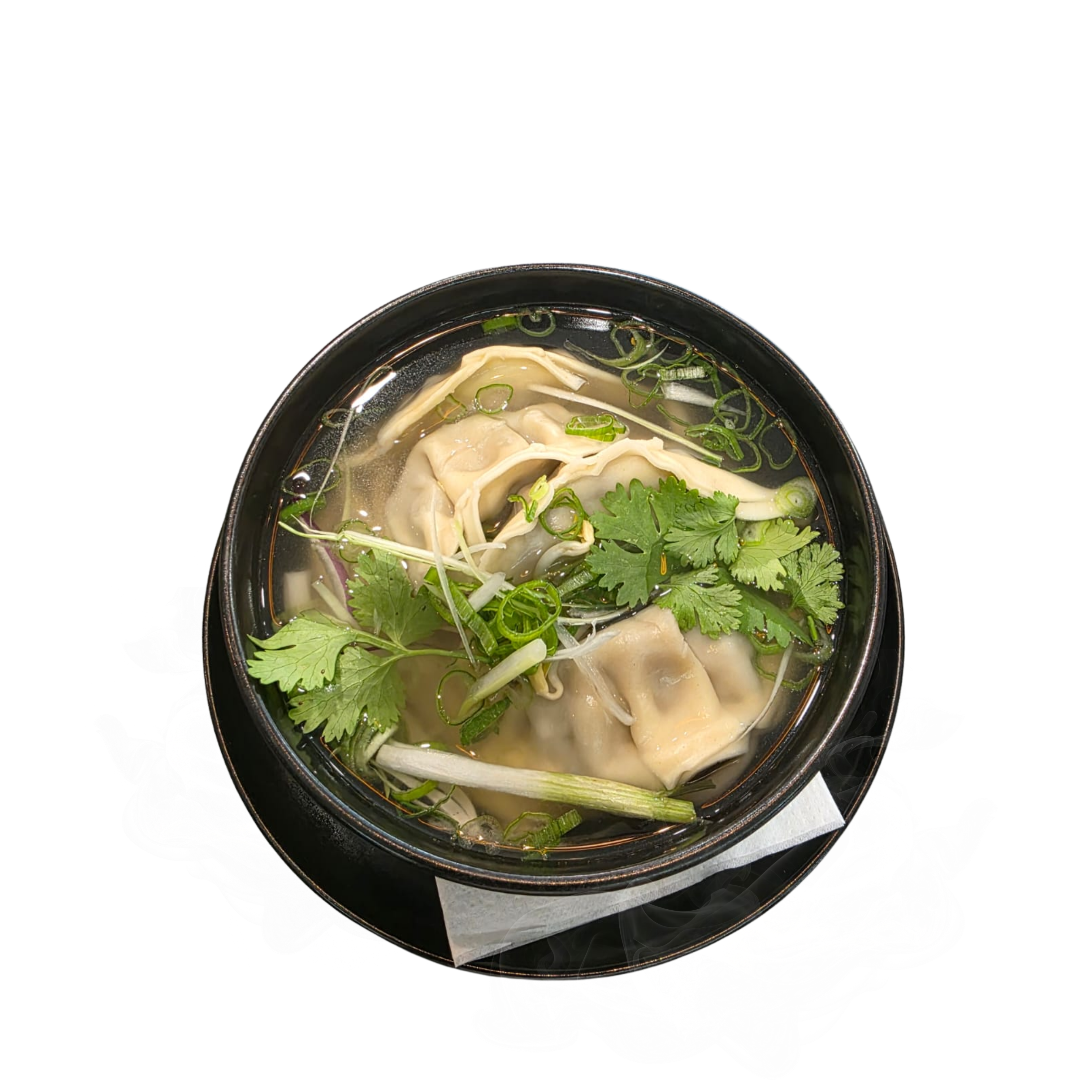 Gyoza Soup s taštičkami, udon rezancami a koriandrom